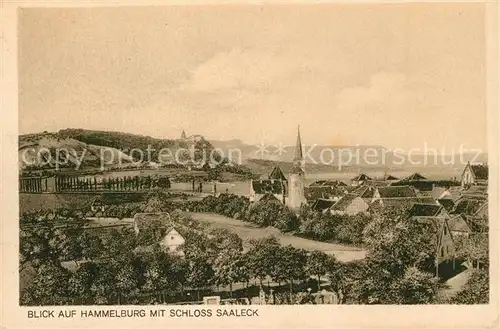 AK / Ansichtskarte Hammelburg Ortsansicht mit Schloss Saaleck Kat. Hammelburg
