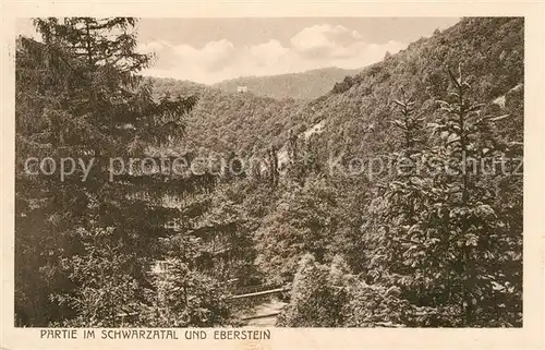 AK / Ansichtskarte Schwarzatal Landschaftspanorama Eberstein Kat. Rudolstadt