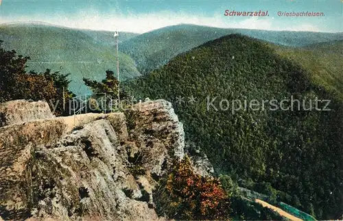 AK / Ansichtskarte Schwarzatal Landschaftspanorama Griesbachfelsen Thueringer Wald Kat. Rudolstadt