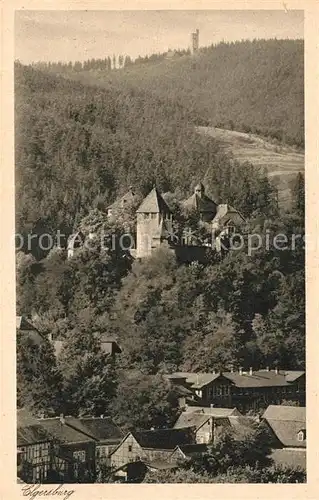 AK / Ansichtskarte Elgersburg Schloss Elgersburg mit Carl Eduard Warte Kat. Elgersburg