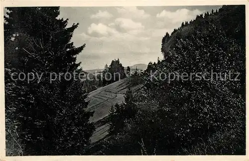 AK / Ansichtskarte Lauscha Panorama Thueringer Wald Serie Rennsteigmotive Kat. Lauscha