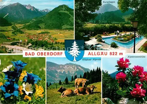 AK / Ansichtskarte Bad Oberdorf Allgaeuer Alpvieh Alpenrosenbluete Kneippbad Panorama Enzian Kat. Bad Hindelang