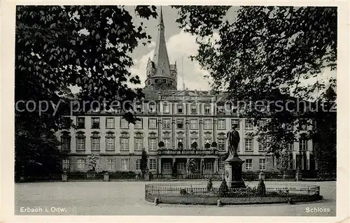 AK / Ansichtskarte Erbach Odenwald Schloss Denkmal Kat. Erbach