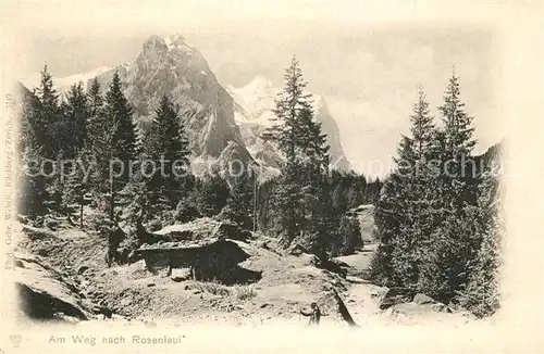 AK / Ansichtskarte Rosenlaui BE Wanderweg Landschaftspanorama Alpen Kat. Rosenlaui