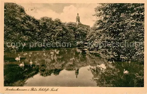 AK / Ansichtskarte Sondershausen Thueringen Schlossteich Schwaene Kat. Sondershausen