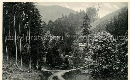 AK / Ansichtskarte Schwarzatal "Schweizerhauslandschaft" mit Baumbluete Kat. Rudolstadt
