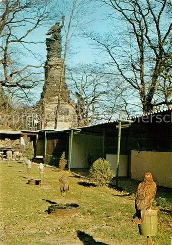 AK / Ansichtskarte Ruedesheim Rhein Adlerwarte Falkenhof Niederwalddenkmal Kat. Ruedesheim am Rhein