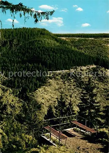 AK / Ansichtskarte Andreasberg Harz St Rosstrappe Kat. Sankt Andreasberg