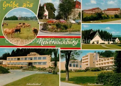 AK / Ansichtskarte Neutrauchburg Mechensee Schwabenland Kat. Isny im Allgaeu