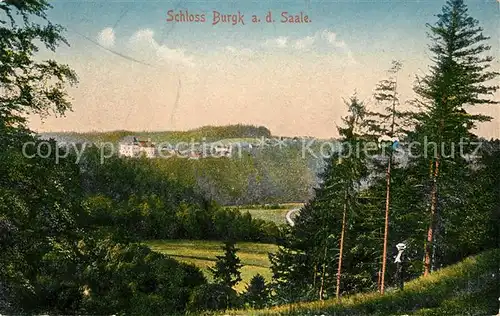 AK / Ansichtskarte Burgk Saale Orla Kreis Landschaftspanorama mit Blick zum Schloss Kat. Burgk