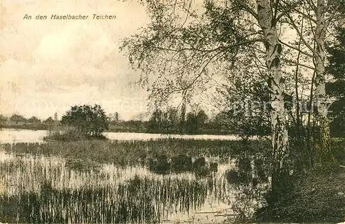 AK / Ansichtskarte Haselbach Thueringen Uferpartie an der Haselbacher Teichen Kat. Sonneberg