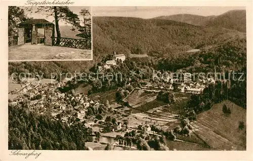 AK / Ansichtskarte Schwarzburg Thueringer Wald Panorama Blick vom Trippstein Kat. Schwarzburg