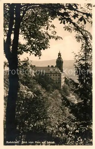 AK / Ansichtskarte Rudolstadt Blick vom Hain auf Schloss Kat. Rudolstadt