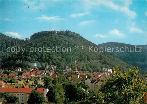 AK / Ansichtskarte Bad Harzburg Teilansicht mit Burgberg Kat. Bad Harzburg
