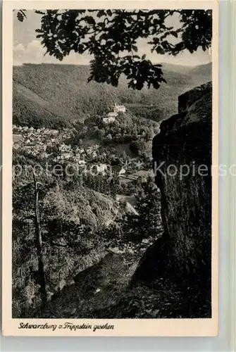 AK / Ansichtskarte Schwarzburg Thueringer Wald vom Trippstein gesehen Kat. Schwarzburg