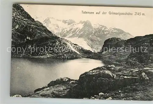 AK / Ansichtskarte Grimsel Passhoehe Totensee Gebirgspanorama