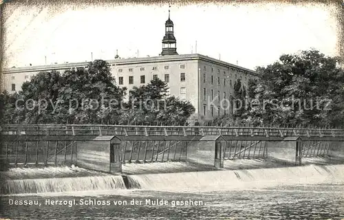 AK / Ansichtskarte Dessau Rosslau Herzogliches Schloss Kat. Dessau Rosslau
