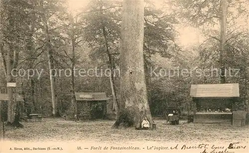 AK / Ansichtskarte Fontainebleau Seine et Marne Wald Kat. Fontainebleau