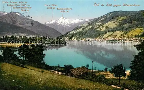 AK / Ansichtskarte Zell See Panorama Kitzsteinhorn Tauern Kat. Zell am See