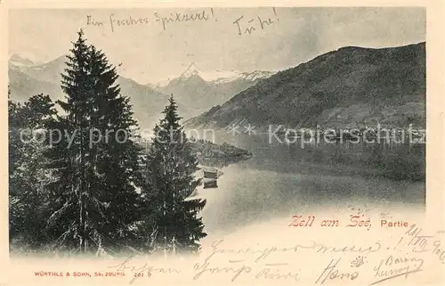 AK / Ansichtskarte Zell See Panorama Kitzsteinhorn Kat. Zell am See