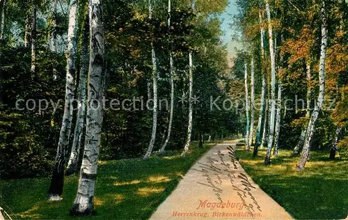 AK / Ansichtskarte Magdeburg Herrenkrug Birkenwald Kat. Magdeburg