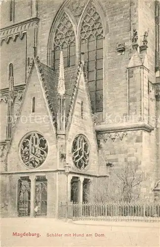 AK / Ansichtskarte Magdeburg Schaefer mit Hund am Dom Kat. Magdeburg