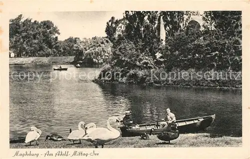 AK / Ansichtskarte Magdeburg Adolf Mittag See Schwaene Kat. Magdeburg