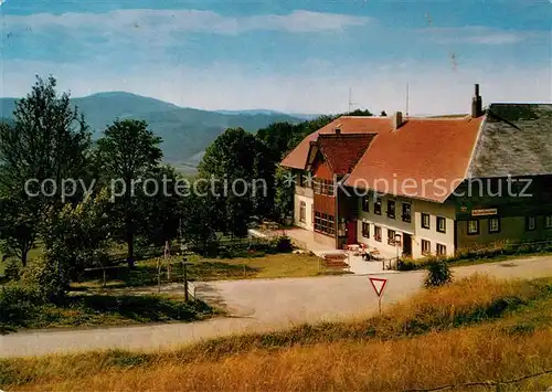 AK / Ansichtskarte Muenstertal Schwarzwald Giesshuebel Pension am Schauinsland Kat. Muenstertal