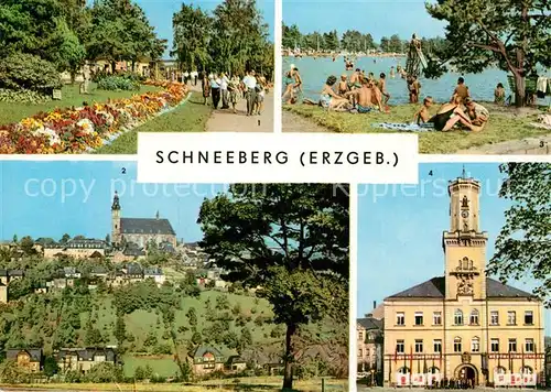 AK / Ansichtskarte Schneeberg Erzgebirge Promenade Filzteich Kirche Rathaus Kat. Schneeberg