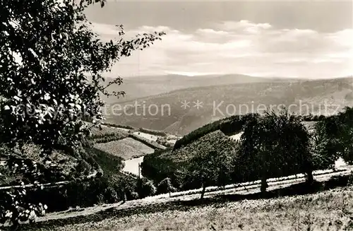 AK / Ansichtskarte Hirschhorn Neckar Aussicht vom Gasthaus Zum Weissen Lamm Kat. Hirschhorn (Neckar)