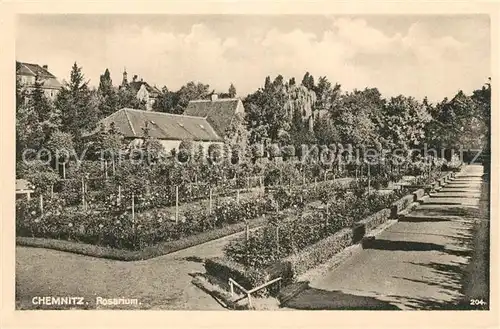 AK / Ansichtskarte Chemnitz Rosarium Kat. Chemnitz