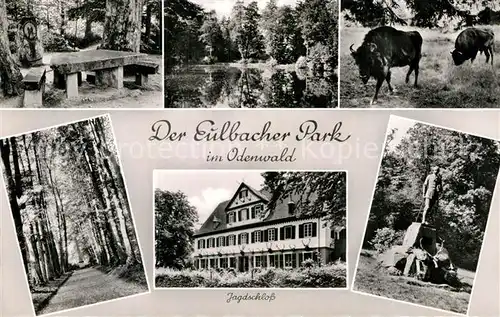 AK / Ansichtskarte Eulbach Eulbacher Park Allee Jagdschloss Denkmal Kat. Michelstadt