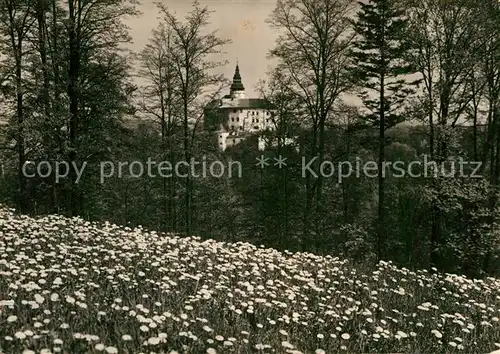 AK / Ansichtskarte Frydlant v Cechach Kat. Friedland