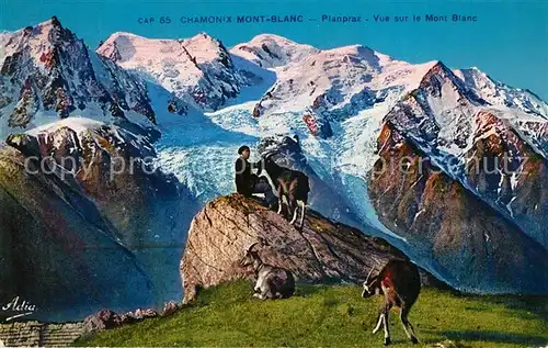 AK / Ansichtskarte Chamonix Planpraz Vue sur le Mont Blanc Kat. Chamonix Mont Blanc