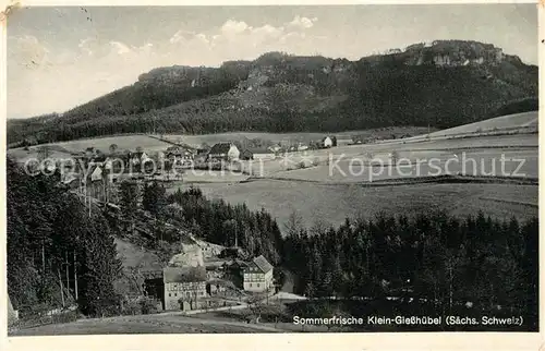 AK / Ansichtskarte Kleingiesshuebel Panorama Sommerfrische Elbsandsteingebirge Kat. Reinhardtsdorf Schoena