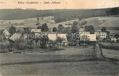 AK / Ansichtskarte Kleingiesshuebel Panorama Kat. Reinhardtsdorf Schoena