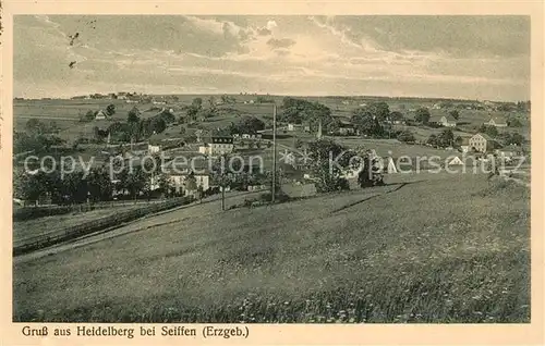 AK / Ansichtskarte Heidelberg Erzgebirge Panorama