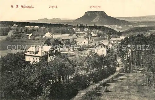 AK / Ansichtskarte Gohrisch Panorama mit Blick zum Lilienstein Tafelberg Elbsandsteingebirge Kat. Gohrisch