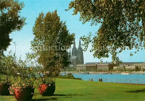 AK / Ansichtskarte Koeln Rhein Rheinpark mit Dom Kat. Koeln