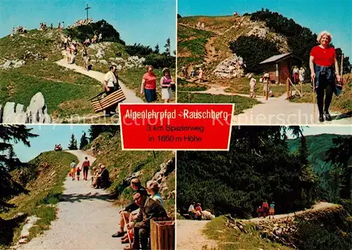 AK / Ansichtskarte Ruhpolding Alpenlehrpfad Rauschberg Spazierweg Kat. Ruhpolding