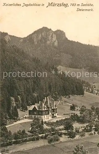 AK / Ansichtskarte Muerzsteg Kaiserliches Jagdschloss Kat. Muerzsteg