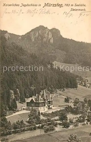 AK / Ansichtskarte Muerzsteg Kaiserliches Jagdschloss  Kat. Muerzsteg