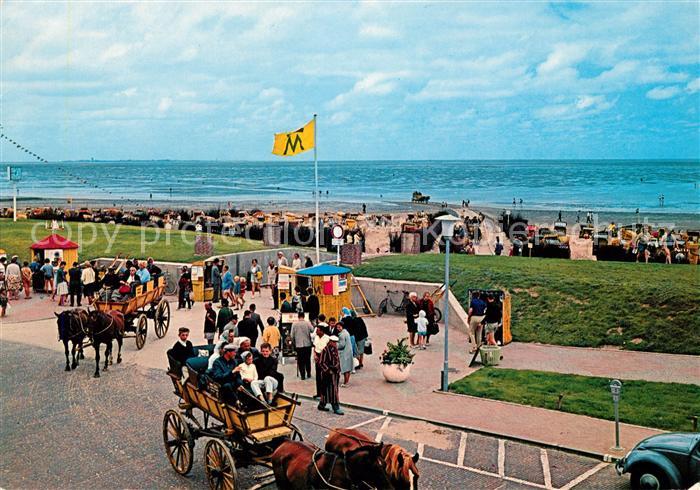 Halligen Nordsee Wattwagen bei aufkommender Flut Kat. Nr