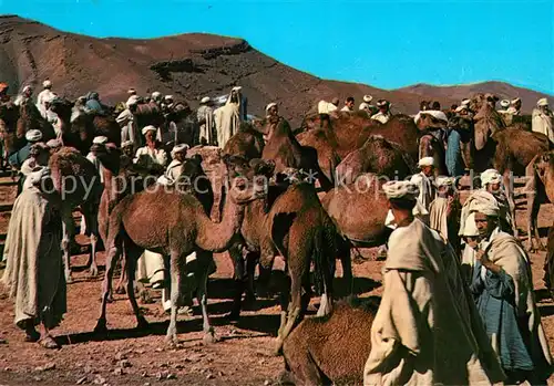AK / Ansichtskarte Maroc Marokko Kamelmarkt  Kat. Marokko