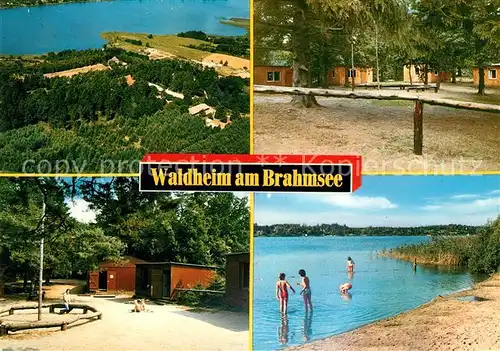 AK / Ansichtskarte Waldheim Brahmsee Ev Jugendheim Details Schwimmbad Kat. Langwedel