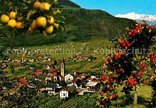 AK / Ansichtskarte Algund Merano mit Ortlergruppe Kat. Italien