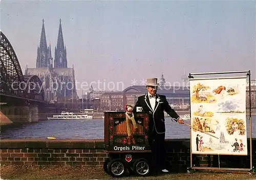 AK / Ansichtskarte Koeln Rhein Drehorgelsmann Orgels Pitter Dom Kat. Koeln