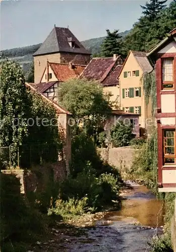 AK / Ansichtskarte Muenstereifel Bad Erftpartie Kat. Bad Muenstereifel