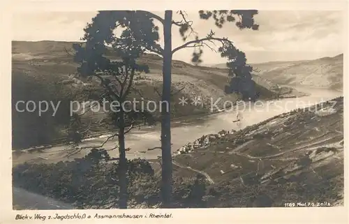 AK / Ansichtskarte Foto Zeitz F.G. Nr. 1189 Assmannshausen  Kat. Berchtesgaden