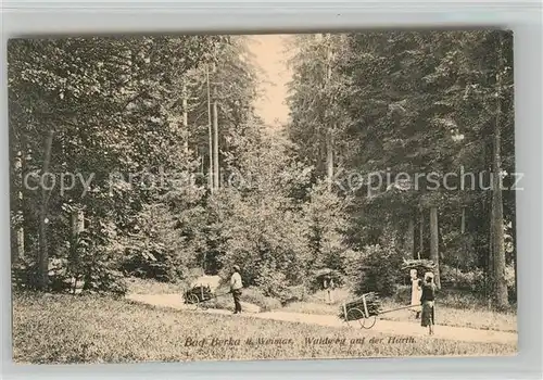 AK / Ansichtskarte Bad Berka Waldweg auf der Harth Kat. Bad Berka